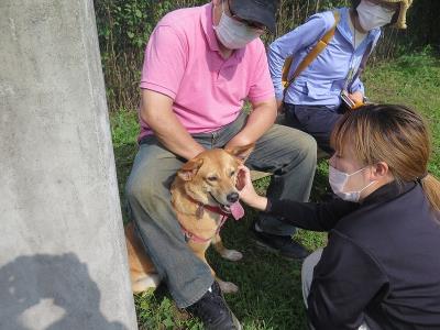 譲渡犬の同窓会